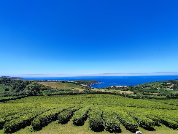 Porto Formoso Tea Factory