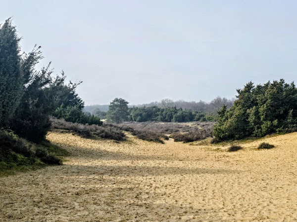 Mantingerzand 4
