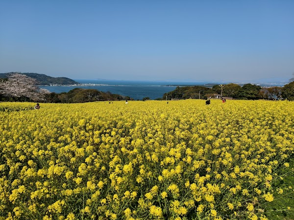 Nokonoshima Island Park