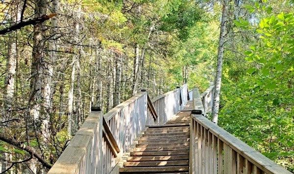 Devil's Kettle 4