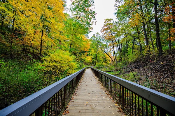 Glen Stewart Park