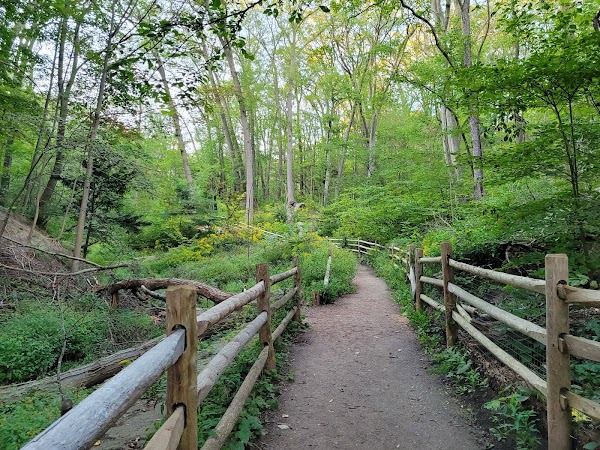 Glen Stewart Park 5