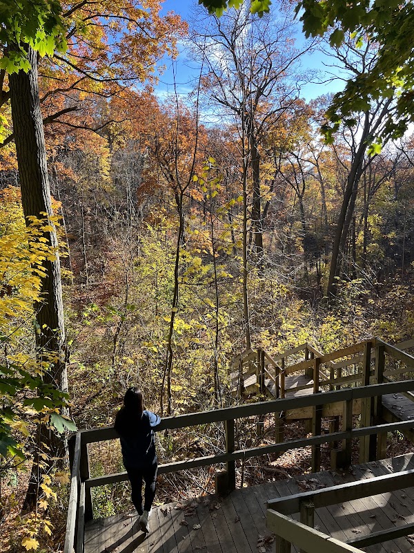 Glen Stewart Park 4