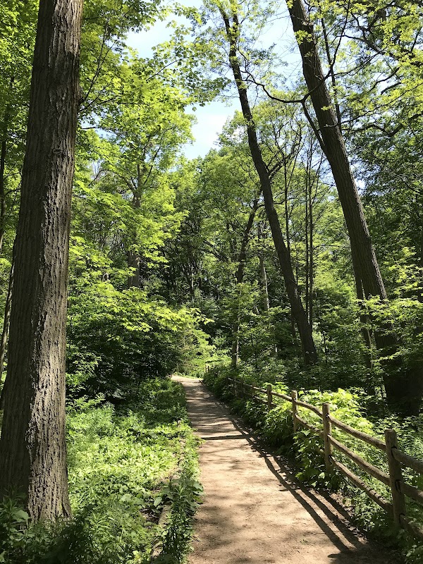 Glen Stewart Park 3