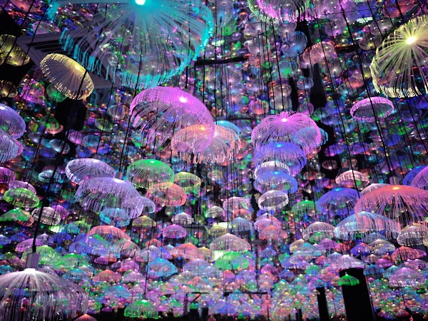 CAVE FANTASY 5