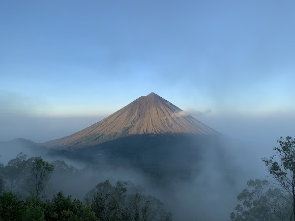 Wolobobo Viewpoint 1