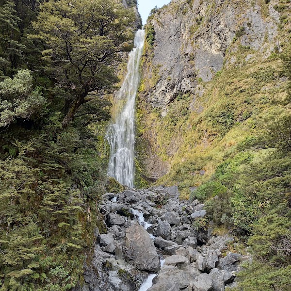 Arthur's Pass Walking Track 4