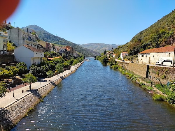 Pinhão
