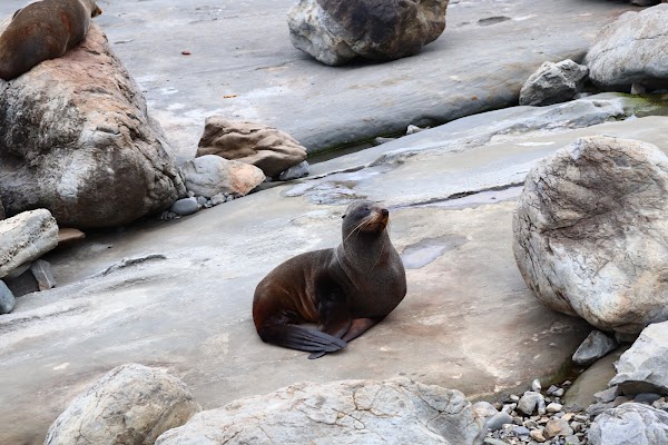 Cape Palliser Lighthouse 2