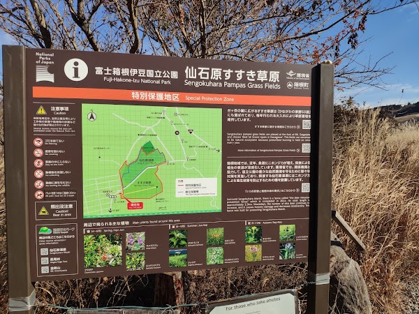 Sengokuhara Susuki Grass Fields 3