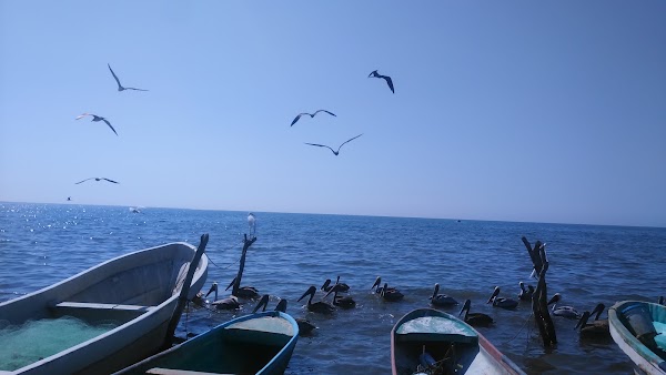 Bahía de Paredón 2