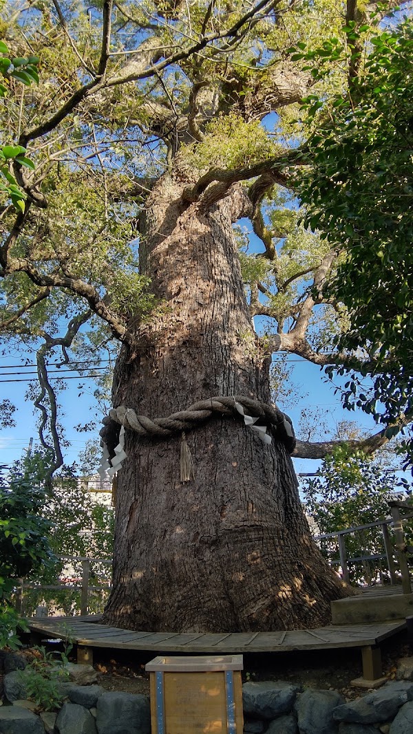 Imakumano Shrine 2