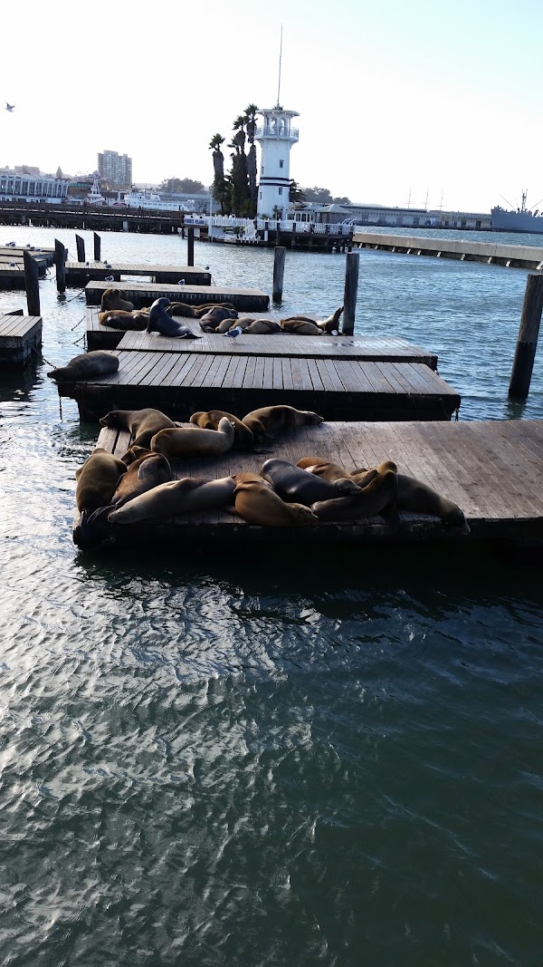 Pier 39 5