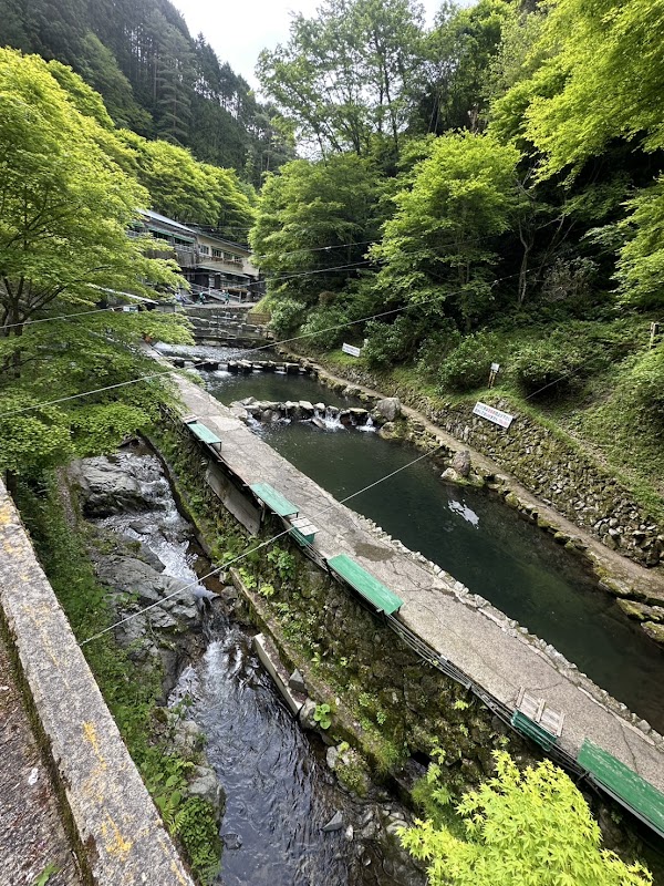 BIG FIGHT FISHING CHIHAYAKAWA - MT. KONGO 1