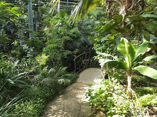 Lyon Botanical Garden 2