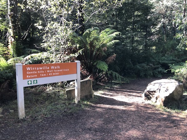 Wirrawilla Rainforest Walk 5