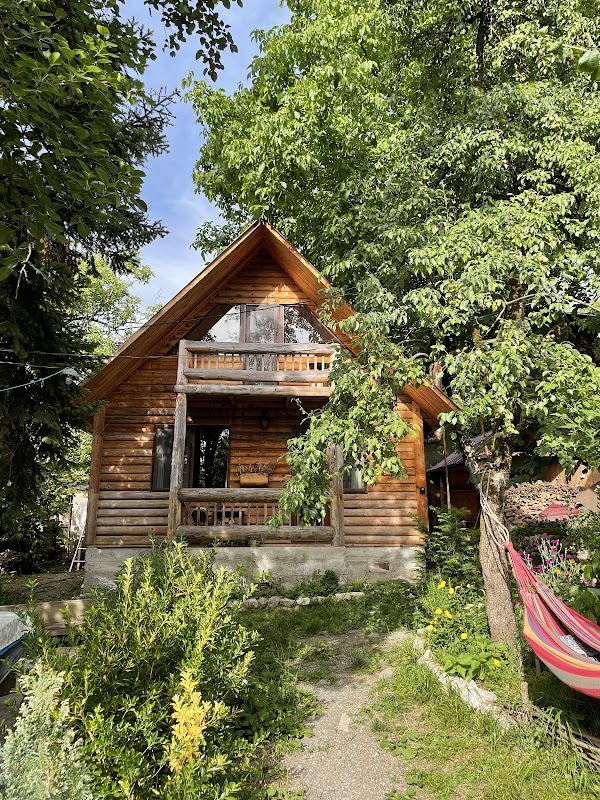 Pine Tree Home 5
