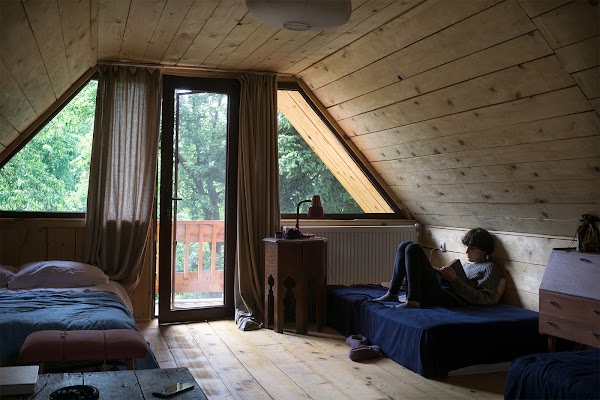 Pine Tree Home 4