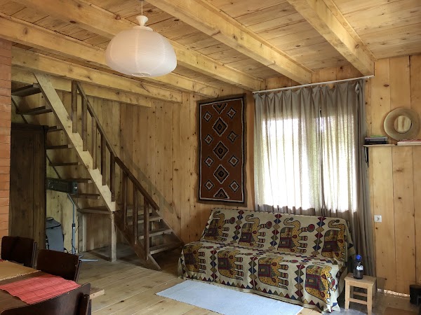 Pine Tree Home 3