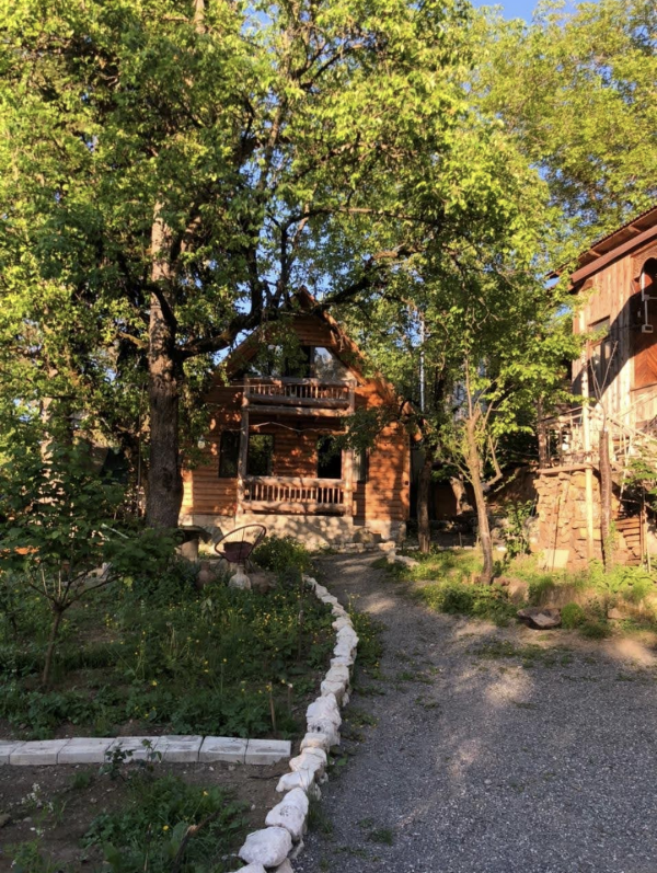 Pine Tree Home 2