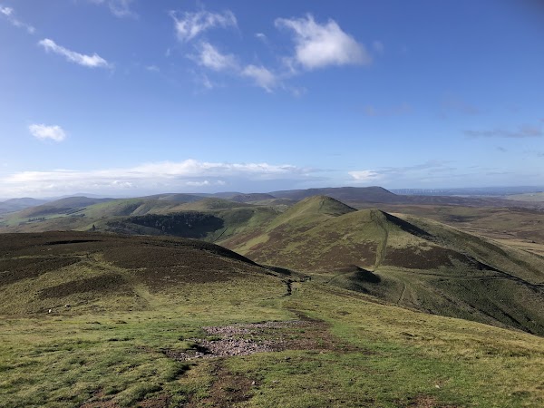 Scald Law