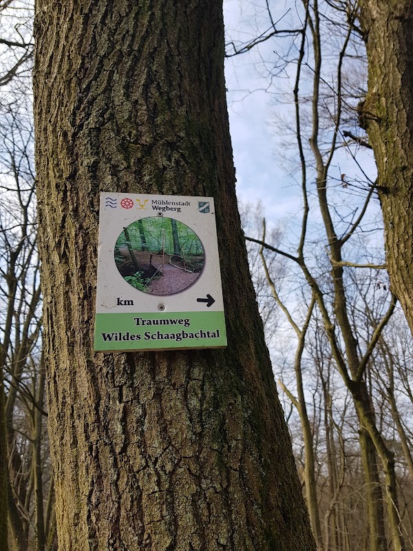 Schaagbachtal 5