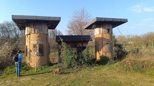 Schaagbachtal 2