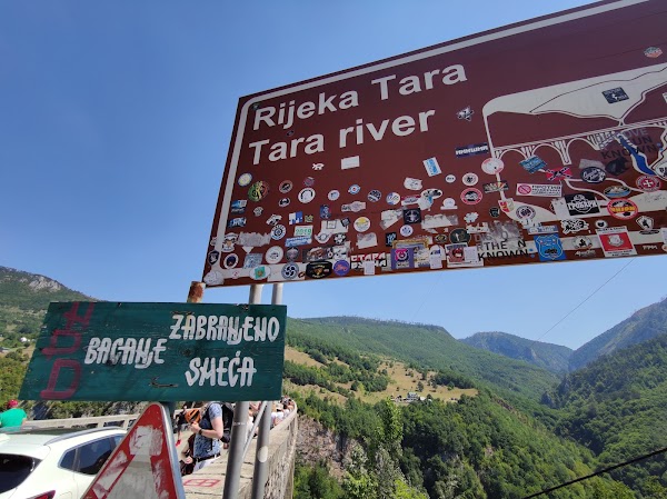 Đurđevića Tara Bridge 2