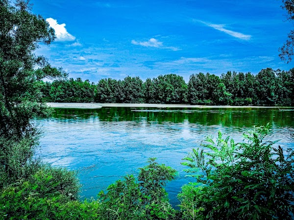 Drava