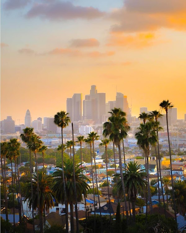 Los Angeles 3