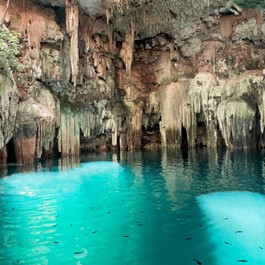 Cenote y restaurante Tsukán Santuario de Vida 1