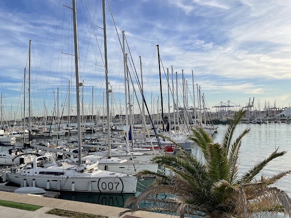La Marina de Valencia 5