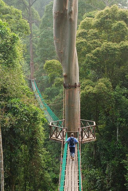 Danum Valley Conservation Area