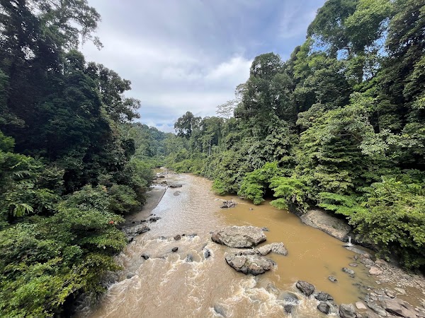 Danum Valley Conservation Area 5