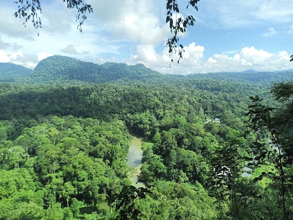Danum Valley Conservation Area 3