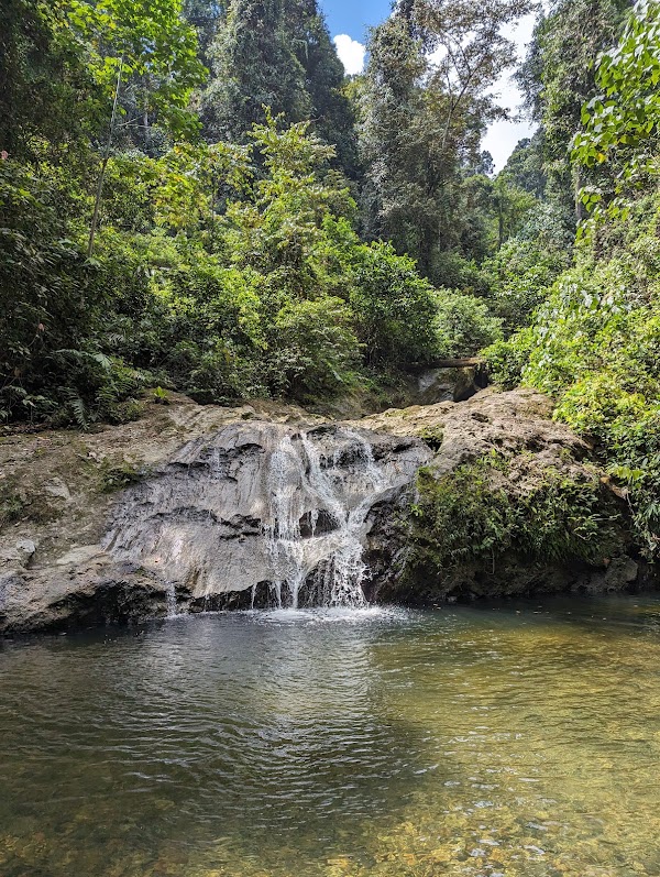 Danum Valley Conservation Area 2