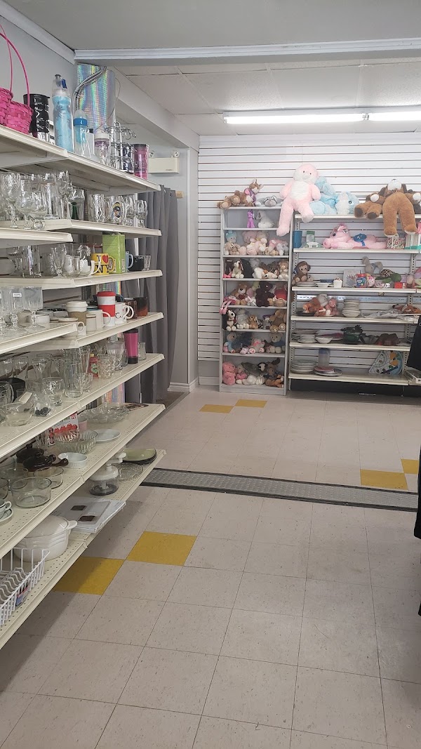 Incredible Thrift 5