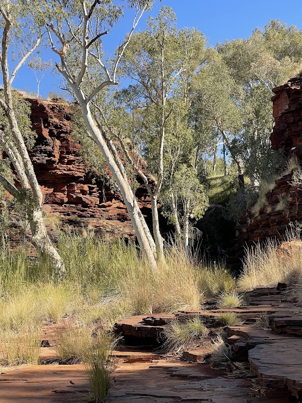Kalamina Gorge 4