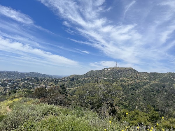 Mount Hollywood
