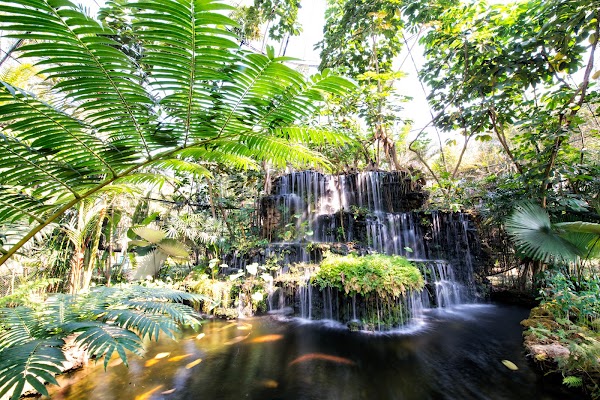 Tweechol Botanical Garden