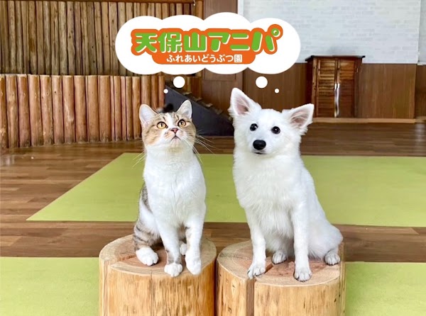 Family friendly places - Osaka 🧡🇯🇵 10