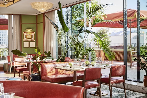 Dani Brasserie