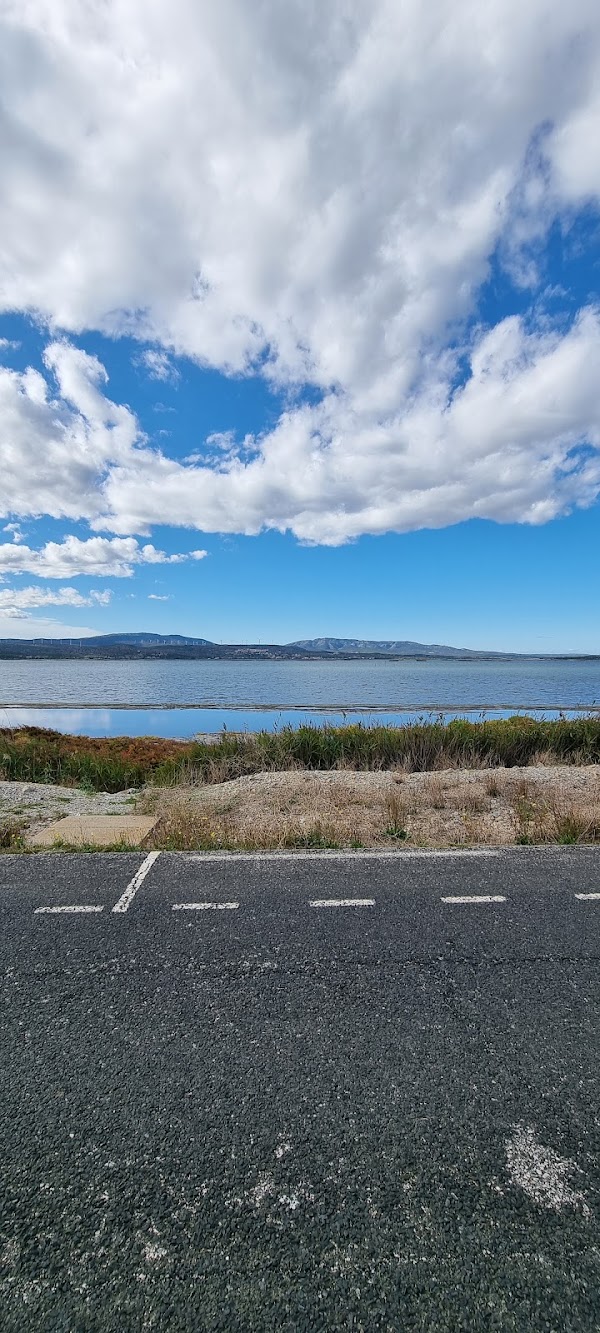 Pinède de Port-Leucate 1