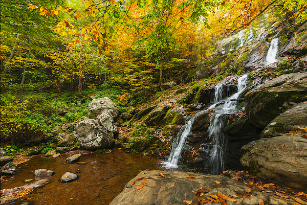 Shenandoah National Park 3
