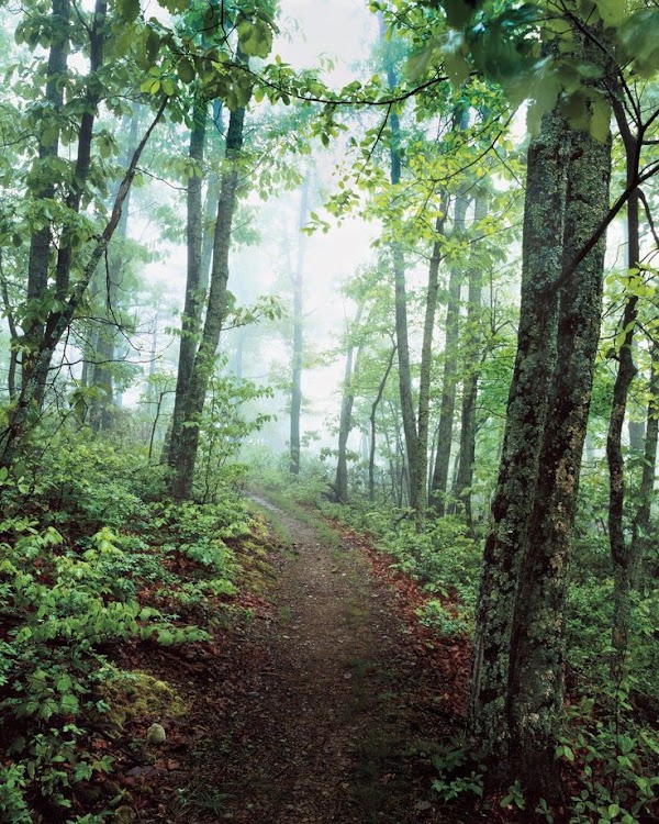 Shenandoah National Park 2