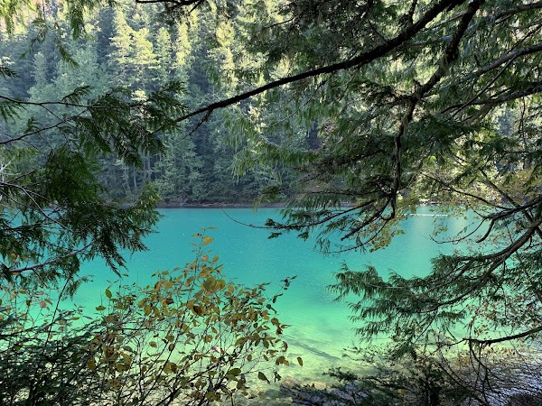 Lindeman Lake 5