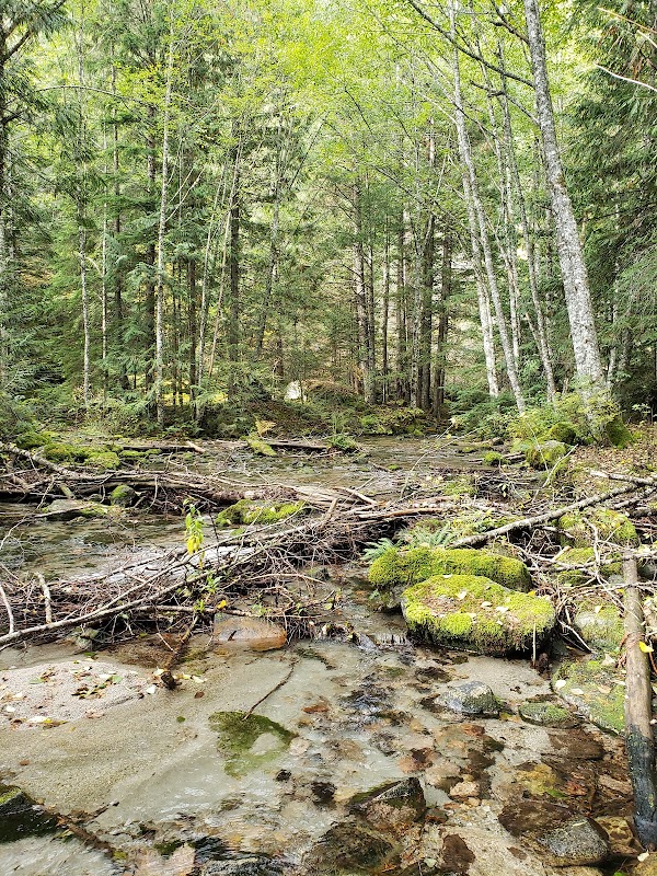 Lindeman Lake 4