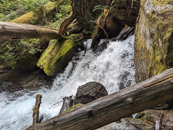 Lindeman Lake 3