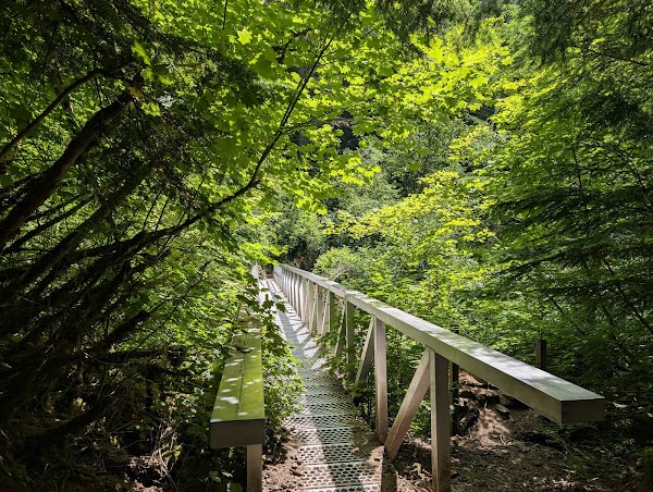 Lindeman Lake 2