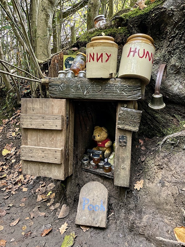 Winnie The Pooh House